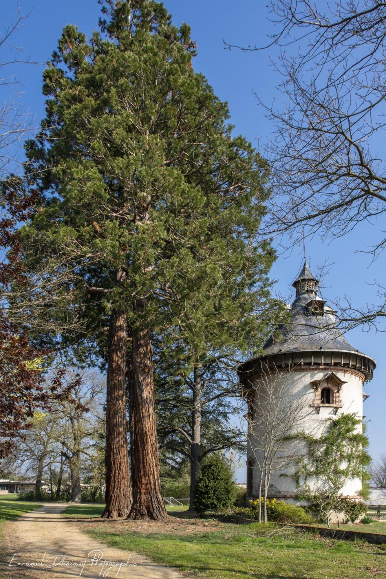 Orangerie De Chatel-Selection Figaro & Elle Magazine Bed & Breakfast Cleppe Exterior photo